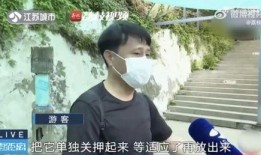 网红霸凌吃瓜男主是谁啊,吃瓜男主身份曝光