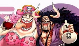 爆料国风路飞的视频在哪看,独家爆料观看指南