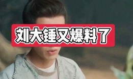 刘大锤爆料过谁了视频,揭秘娱乐圈惊人内幕