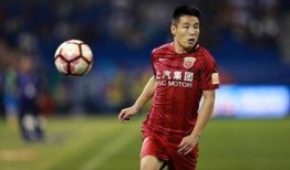 武磊球场爆料视频大全最新,精彩瞬间回顾与独家幕后花絮